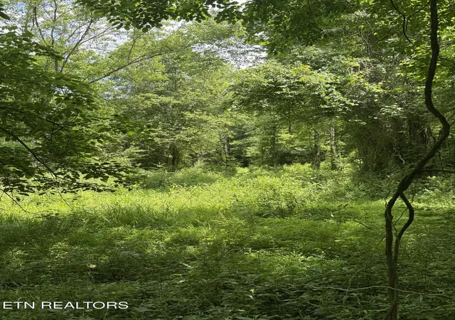 Photo 3 of Land for sale at 0 Thorngrove Pike, Knoxville, TN 37914 | MLS# 1342548 | Listing updated on 2026-06-02