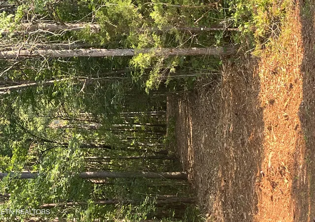 53rd image of Shoal Creek Rd, Englewood, TN 37329 | MLS# 1342594