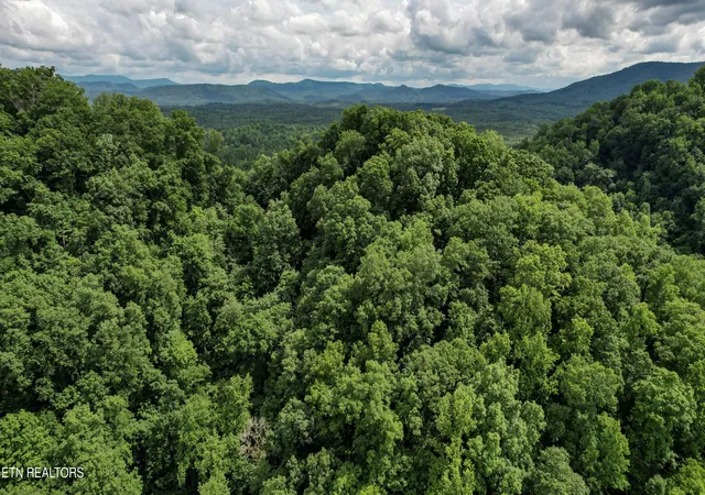 5th image of Shoal Creek Rd, Englewood, TN 37329 | MLS# 1342594