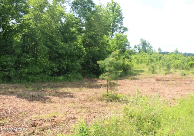 Photo 1 of Land for sale at Tract N 1 Nopone Valley Rd, Decatur, TN 37322 | MLS# 1342559 | Listing updated on 2026-09-15