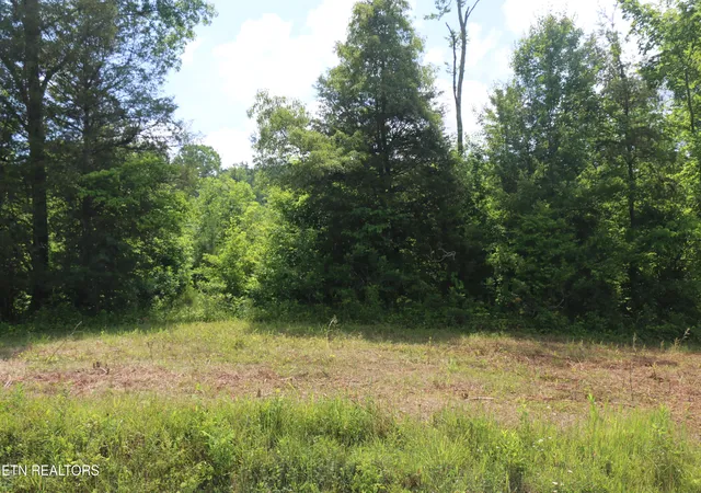 Photo 3 of Land for sale at Tract N 1 Nopone Valley Rd, Decatur, TN 37322 | MLS# 1342559 | Listing updated on 2026-09-15