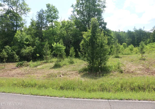 Photo 2 of Land for sale at Tract N 2 Nopone Valley Rd, Decatur, TN 37322 | MLS# 1342561 | Listing updated on 2026-09-15