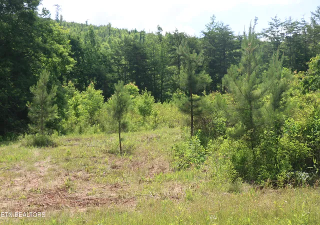 Photo 3 of Land for sale at Tract N 2 Nopone Valley Rd, Decatur, TN 37322 | MLS# 1342561 | Listing updated on 2026-09-15
