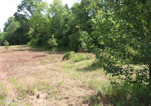 Photo 4 of Land for sale at Tract N 2 Nopone Valley Rd, Decatur, TN 37322 | MLS# 1342561 | Listing updated on 2026-09-15