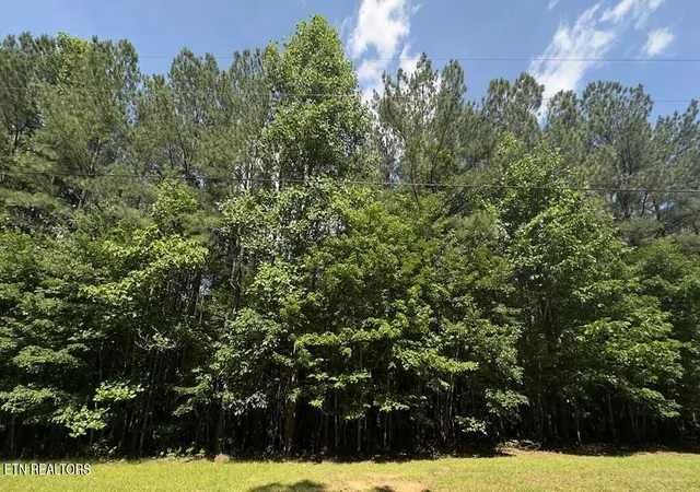 3rd image of 0 Hickory Nut Tr, Spencer, TN 38585 | MLS# 1343227