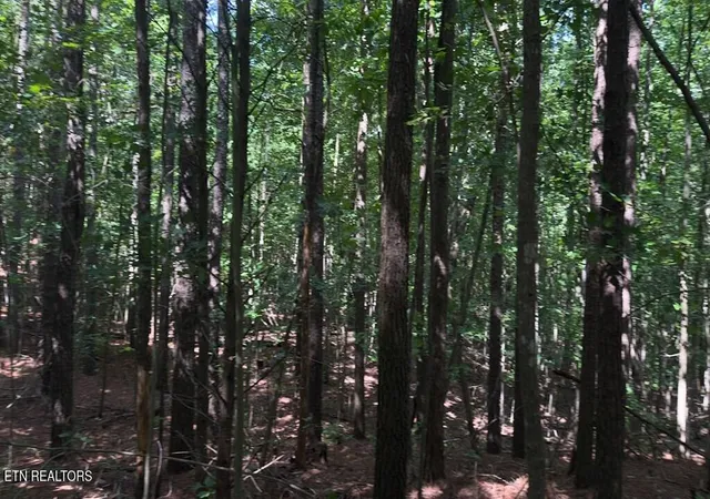 5th image of 0 Hickory Nut Tr, Spencer, TN 38585 | MLS# 1343227