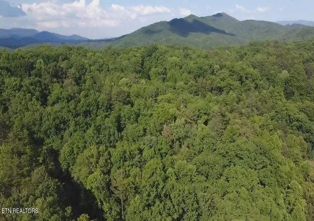 Photo 1 of Land for sale at Fox Hunters Ln, Sevierville, TN 37876 | MLS# 1342597 | Listing updated on 2026-05-28