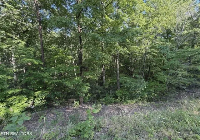 Photo 3 of Land for sale at Fox Hunters Ln, Sevierville, TN 37876 | MLS# 1342597 | Listing updated on 2026-05-28