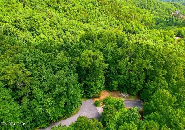 Homes for sale in Gatlinburg, TN | Woodfern Wy, Gatlinburg, TN 37738 | MLS# 1342797