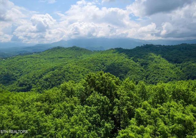 Homes for sale in Gatlinburg, TN | Woodfern Wy, Gatlinburg, TN 37738 | MLS# 1342797