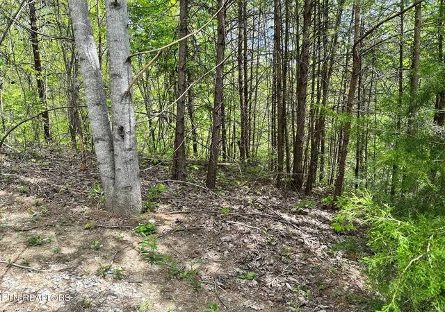 Photo 1 of Land for sale at 1430 Mountain Dreams Way, Sevierville, TN 37862 | MLS# 1342658 | Listing updated on 2026-05-29