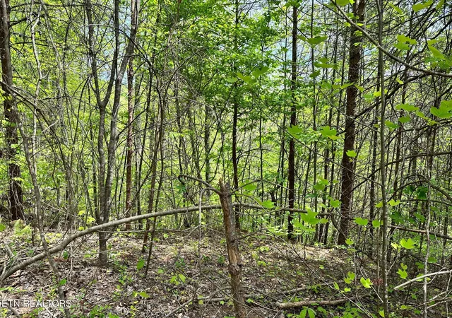 Photo 3 of Land for sale at 1430 Mountain Dreams Way, Sevierville, TN 37862 | MLS# 1342658 | Listing updated on 2026-05-29