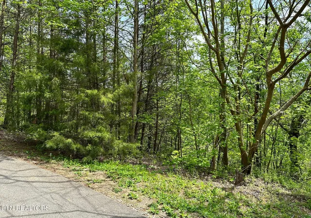 Photo 4 of Land for sale at 1430 Mountain Dreams Way, Sevierville, TN 37862 | MLS# 1342658 | Listing updated on 2026-05-29