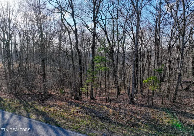 Homes for sale in Monterey, TN | 616 Cumberland Cove Rd, Monterey, TN 38574 | MLS# 1342704