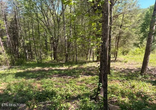 Homes for sale in Niota, TN | Lot 12 Bivens Ct, Niota, TN 37826 | MLS# 1342732