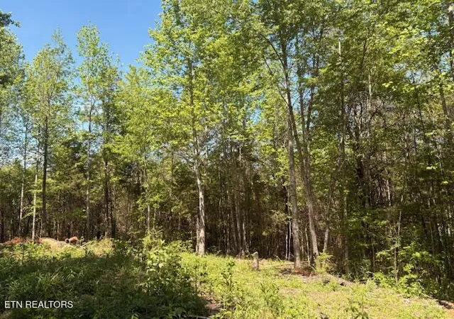 Homes for sale in Niota, TN | Lot 12 Bivens Ct, Niota, TN 37826 | MLS# 1342732