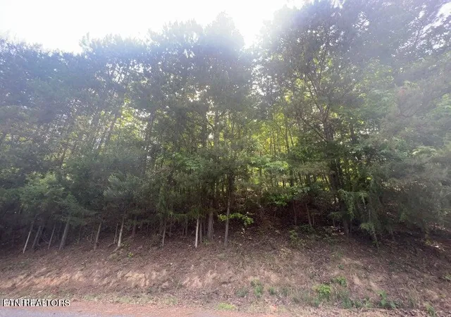 1st image of 123 Hilty Head Ln, La Follette, TN 37766 | MLS# 1343686
