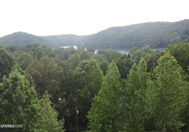 2nd image of 123 Hilty Head Ln, La Follette, TN 37766 | MLS# 1343686