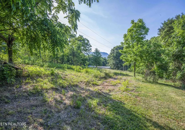 4th image of Wood Ln, Luttrell, TN 37779 | MLS# 1347821