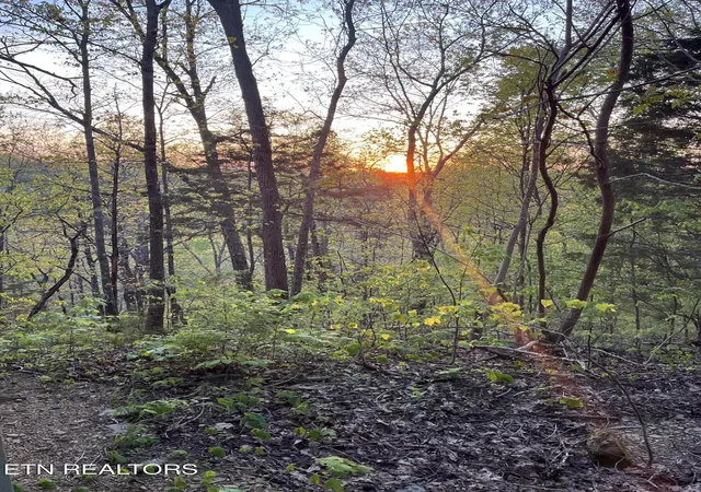 20th image of 1581 Romary Rd, Dandridge, TN 37725 | MLS# 1342820