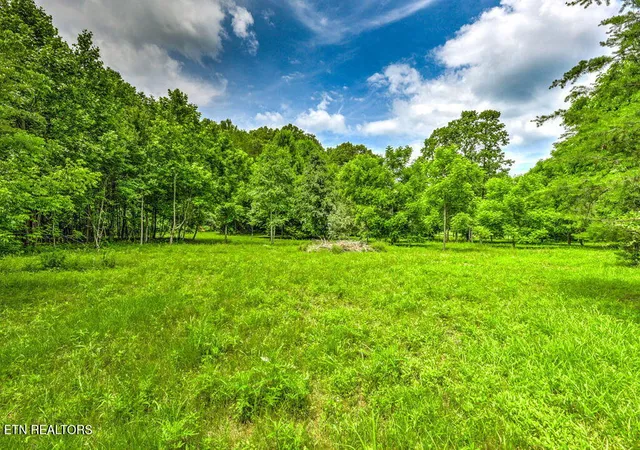 Homes for sale in Andersonville, TN | Stone Ridge Dr, Andersonville, TN 37705 | MLS# 1342858