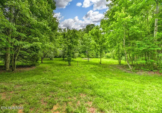 Homes for sale in Andersonville, TN | Stone Ridge Dr, Andersonville, TN 37705 | MLS# 1342858