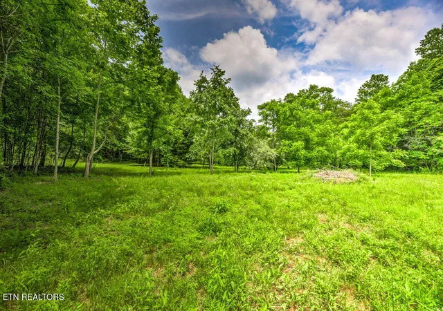 Homes for sale in Andersonville, TN | Stone Ridge Dr, Andersonville, TN 37705 | MLS# 1342858