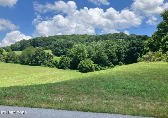 3rd image of 1502 Harmon Rd, New Tazewell, TN 37825 | MLS# 1342866