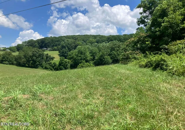 4th image of 1502 Harmon Rd, New Tazewell, TN 37825 | MLS# 1342866