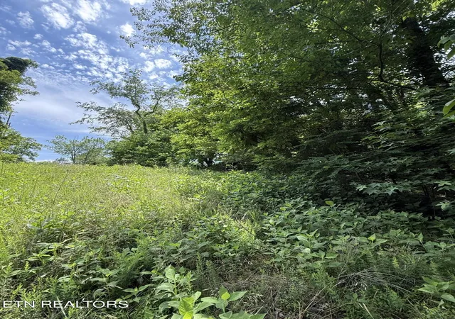 Homes for sale in Whitesburg, TN | 00 Walnut Bend Dr #27R, Whitesburg, TN 37891 | MLS# 1342905