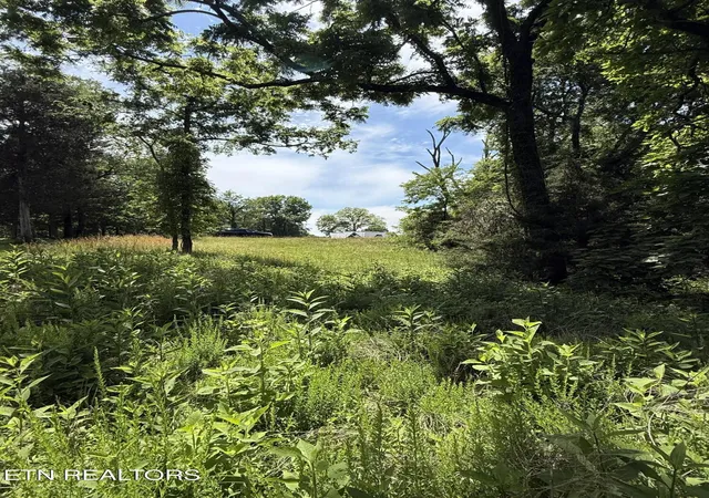 Photo 2 of Land for sale at 00 Walnut Bnd Dr #27R, Whitesburg, TN 37891 | MLS# 1342905 | Listing updated on 2026-09-05