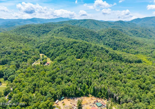 23rd image of 8246 Tennessee Hwy 73, Townsend, TN 37882 | MLS# 1342928
