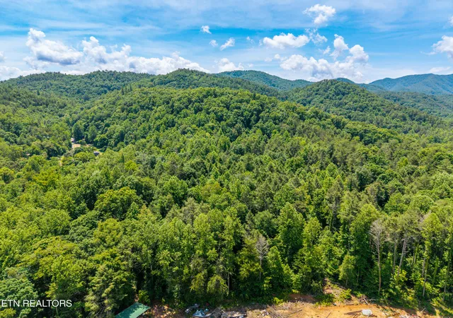5th image of 8246 Tennessee Hwy 73, Townsend, TN 37882 | MLS# 1342928
