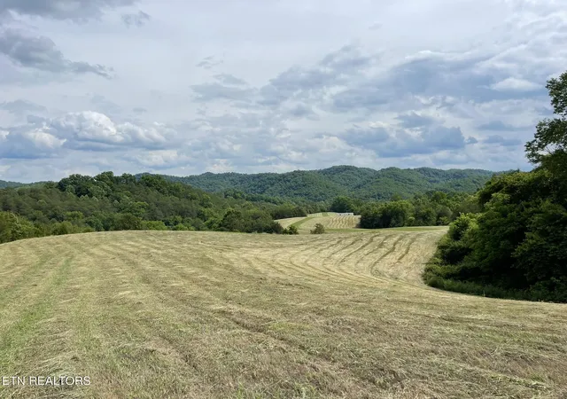 Homes for sale in Sneedville, TN | 6948 Tazewell Hwy, Sneedville, TN 37869 | MLS# 1343188