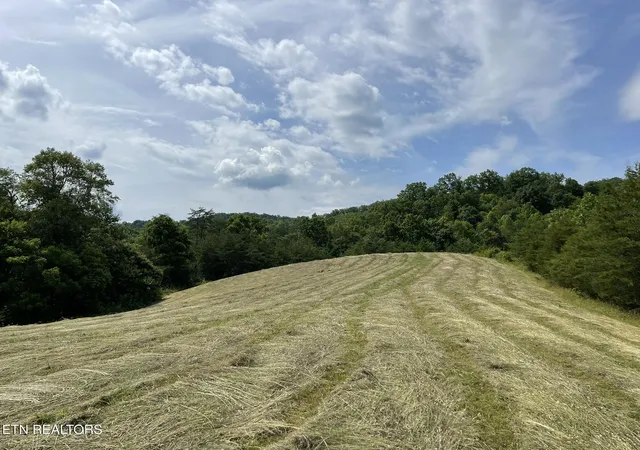 Homes for sale in Sneedville, TN | 6948 Tazewell Hwy, Sneedville, TN 37869 | MLS# 1343188