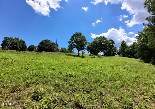 Homes for sale in Rutledge, TN | 336 Woodstock Dr, Rutledge, TN 37861 | MLS# 1343363