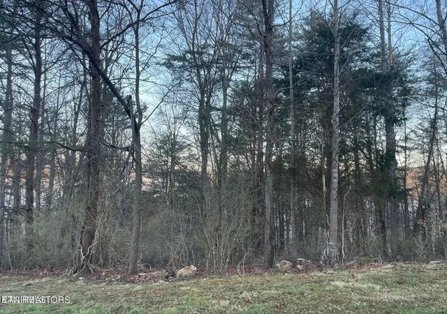 Homes for sale in Jacksboro, TN | Lot 14 Hiwassee Dr, Jacksboro, TN 37757 | MLS# 1343219