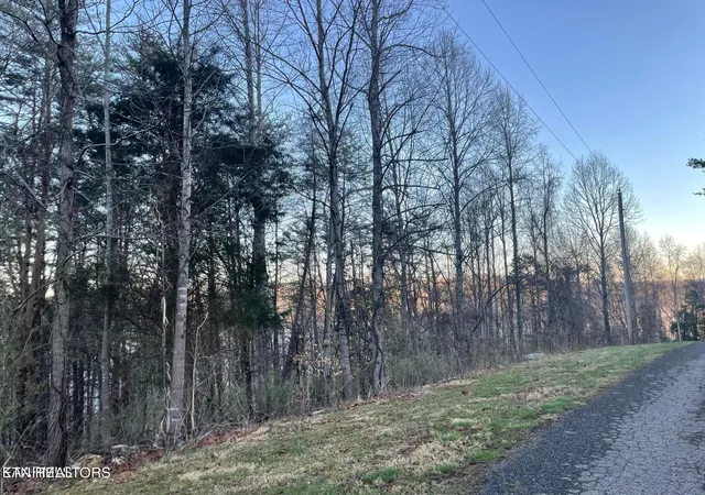 Homes for sale in Jacksboro, TN | Lot 14 Hiwassee Dr, Jacksboro, TN 37757 | MLS# 1343219