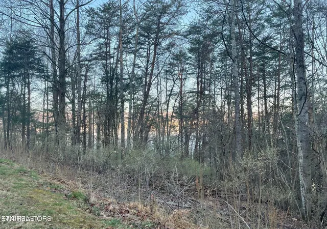 Homes for sale in Jacksboro, TN | Lot 14 Hiwassee Dr, Jacksboro, TN 37757 | MLS# 1343219