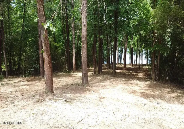 4th image of 764 Wood Duck Dr, Vonore, TN 37885 | MLS# 1343161