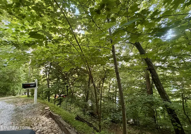 19th image of 376 Norris View Dr, New Tazewell, TN 37825 | MLS# 1343172