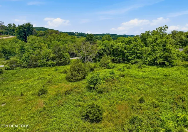 Homes for sale in Washburn, TN | 136 Clinchview Ln, Washburn, TN 37888 | MLS# 1343189