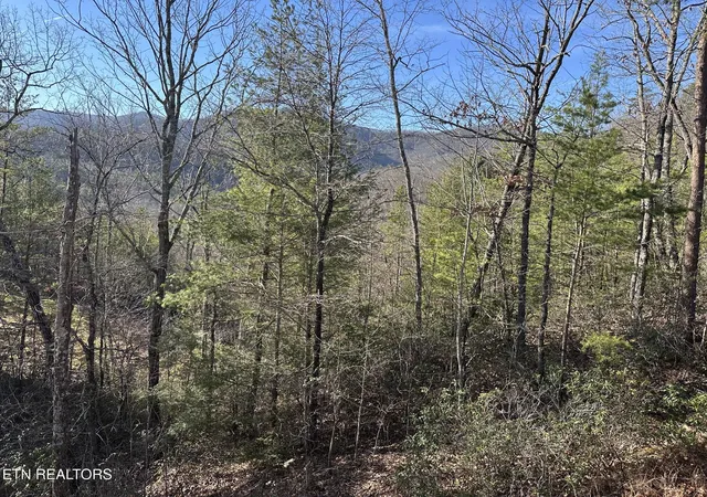 Photo 3 of Land for sale at 1306 Morning Dove Way, Sevierville, TN 37862 | MLS# 1343242 | Listing updated on 2026-06-16