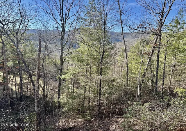 Photo 3 of Land for sale at 1306 Morning Dove Way, Sevierville, TN 37862 | MLS# 1343242 | Listing updated on 2026-06-16