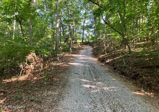 Photo 4 of Land for sale at Tract 2 Graves Holw Rd, Maynardville, TN 37807 | MLS# 1343276 | Listing updated on 2026-10-01