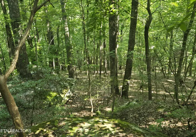 3rd image of 16 Trentwood Ter, Crossville, TN 38558 | MLS# 1343668