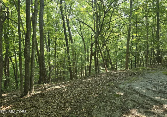 4th image of 16 Trentwood Ter, Crossville, TN 38558 | MLS# 1343668