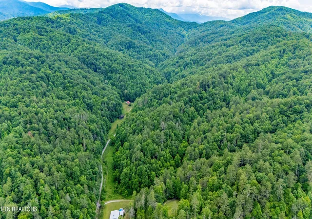 17th image of Johns Creek Rd, Del Rio, TN 37727 | MLS# 1343480