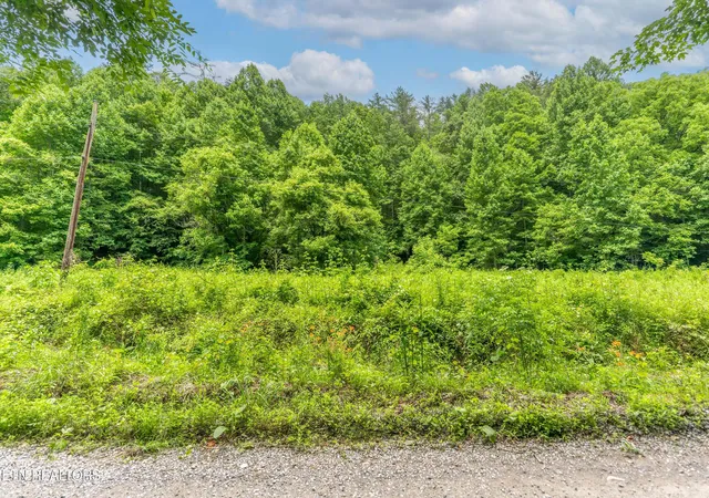 1st image of Johns Creek Rd, Del Rio, TN 37727 | MLS# 1343480