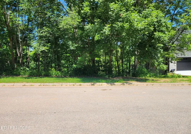 Homes for sale in Seymour, TN | Chapman View Dr, Seymour, TN 37865 | MLS# 1343510